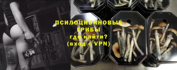 mdpv Пестово