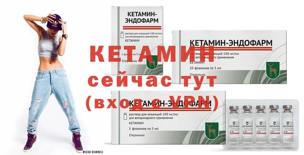 спиды Пересвет