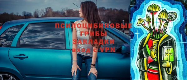 дживик Балахна