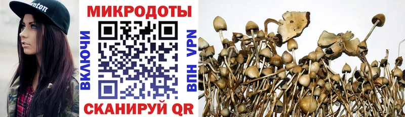 даркнет как зайти  Гурьевск  Псилоцибиновые грибы мицелий 